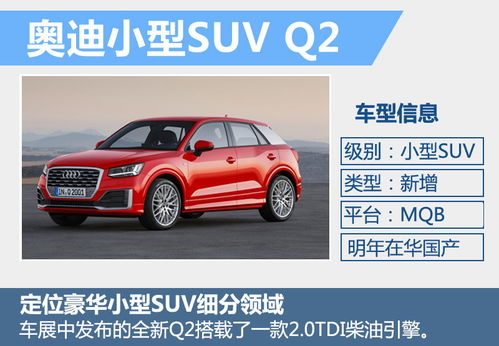 奥迪全新小型SUV正式发布 将在华投产 图